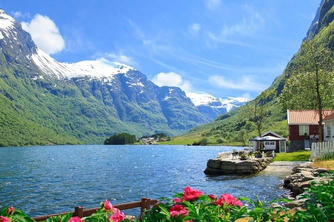 Private tour - Viking Village, Nærøyfjord Cruise and Flåm Railway - Myrdal and the Bergen Railway complete the loop