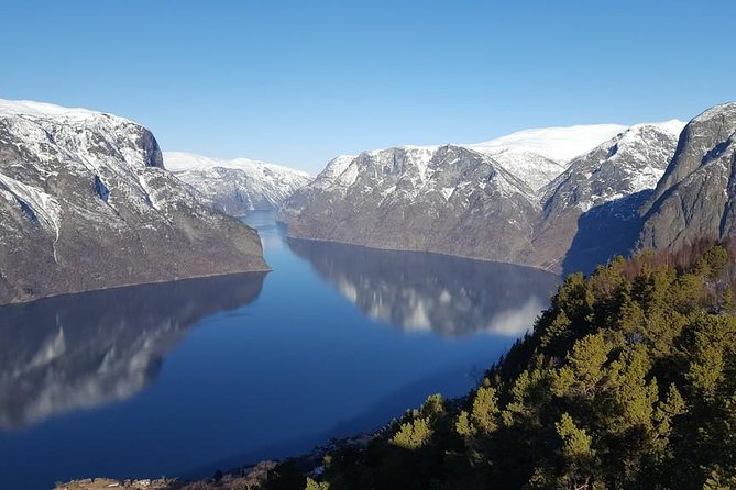 Private tour - Viking Village, Nærøyfjord Cruise and Flåm Railway - What guides add to the experience
