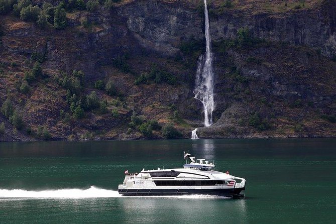 Private tour - Viking Village, Nærøyfjord Cruise & Flåm Railway - Flåm, a short stop with a big role