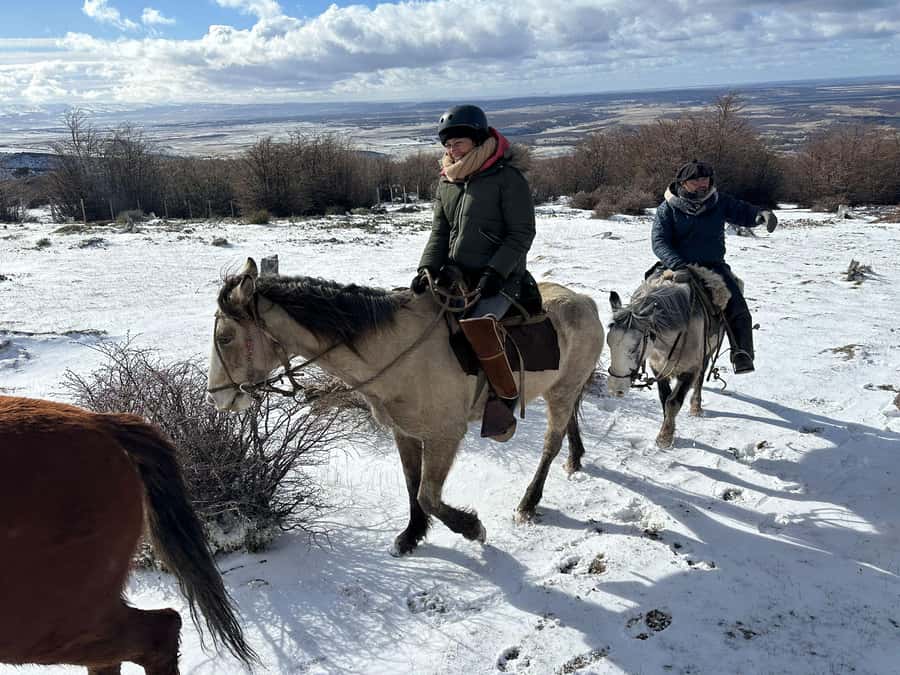 Puerto Natales: Horseback Riding to Dorotea Fjord Lookout - Riding from Puerto Natales to Cerro Dorotea