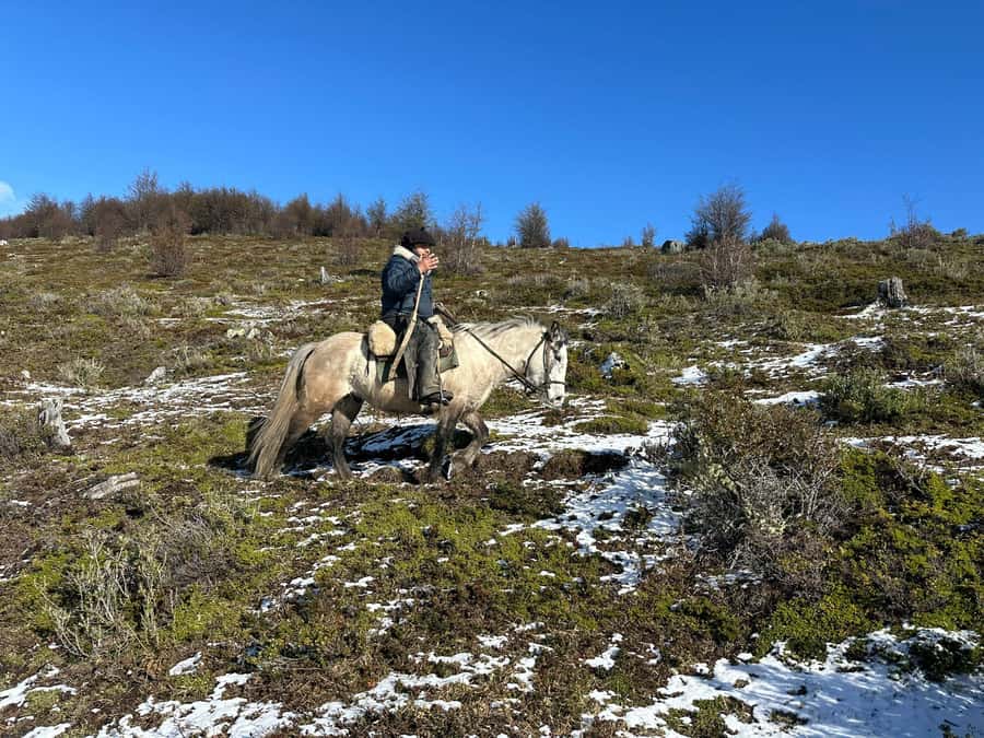 Puerto Natales: Horseback Riding to Dorotea Fjord Lookout - Cerro Dorotea’s lookout and the view over the fjord