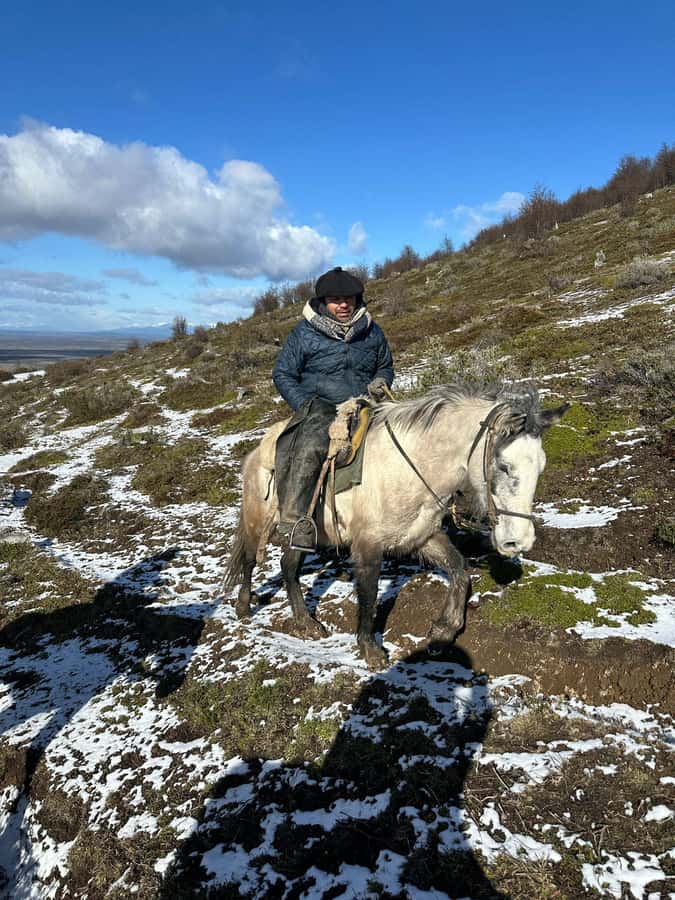 Puerto Natales: Horseback Riding to Dorotea Fjord Lookout - Is the $171 price fair?