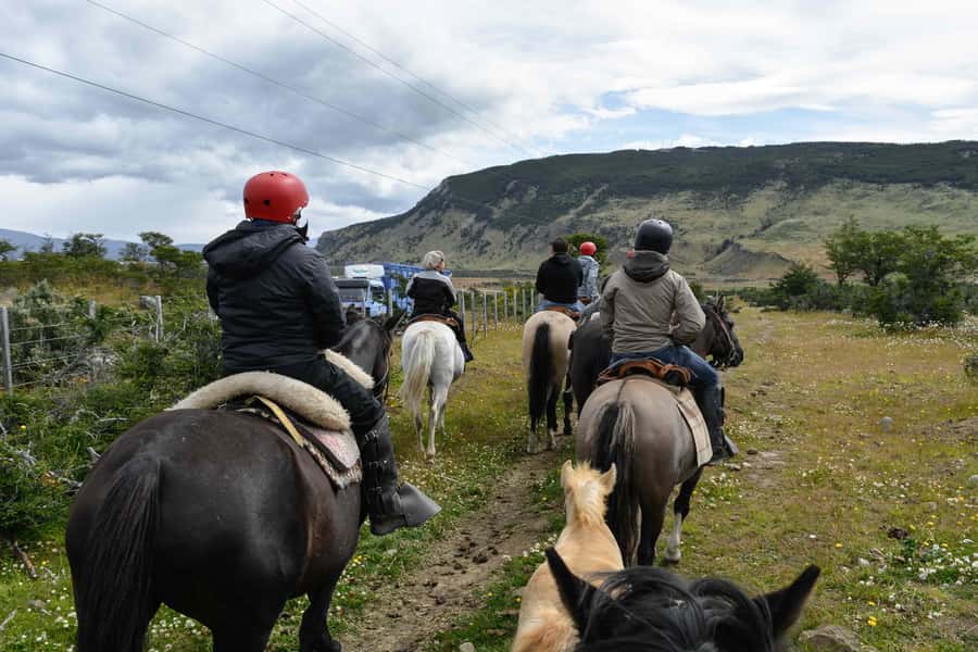 Puerto Natales: Horseback Riding to Dorotea Fjord Lookout - A three-hour climb through forest and meadow