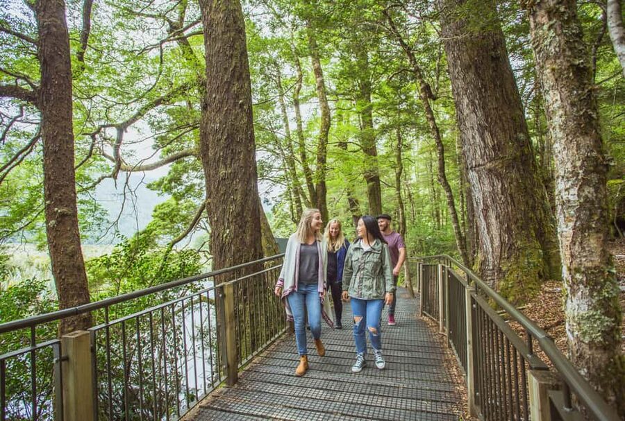 Queenstown: Milford Sound Coach & Cruise Full-Day Trip - Key points to know before booking