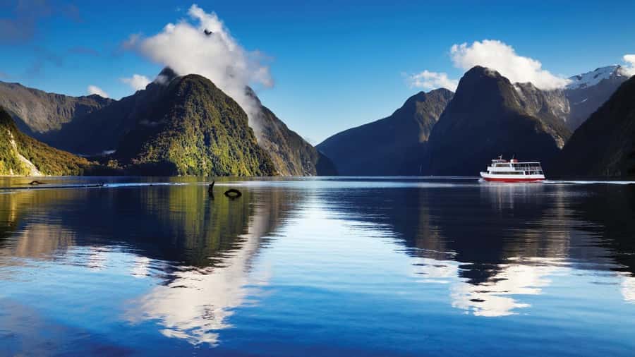 Queenstown: Milford Sound Day Trip - Cruise & Picnic Lunch - Riding in the Mercedes Sprinter