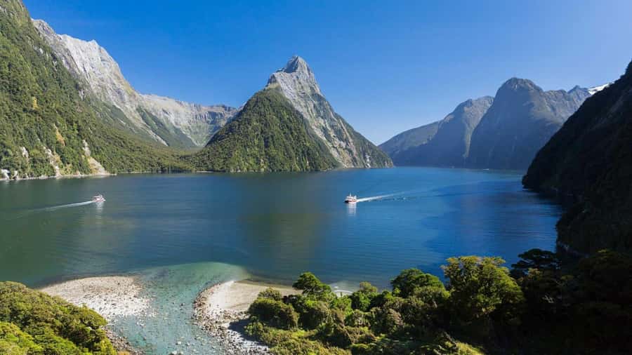 Queenstown: Milford Sound Day Trip - Cruise & Picnic Lunch - Picnic lunch with the waterfalls outside