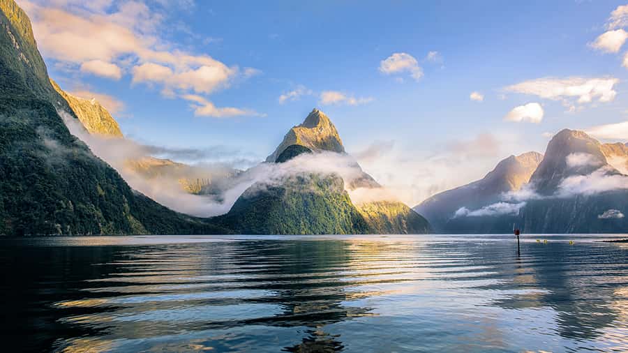 Queenstown: Milford Sound Small-Group Tour w Cruise & Lunch - Key points at a glance