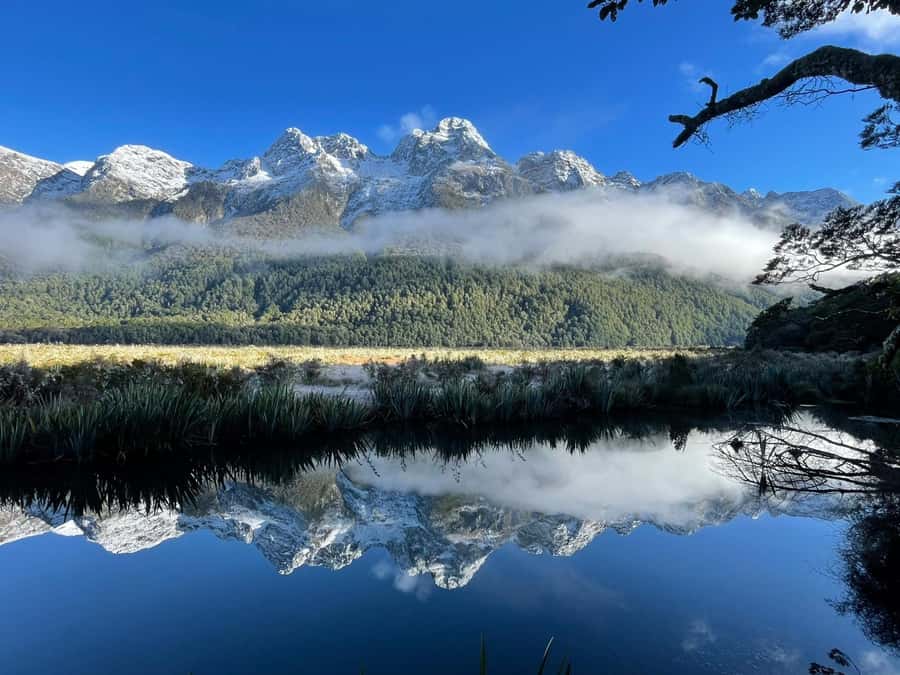 Queenstown: Milford Sound Small-Group Tour w Cruise & Lunch - The long ride back to Queenstown