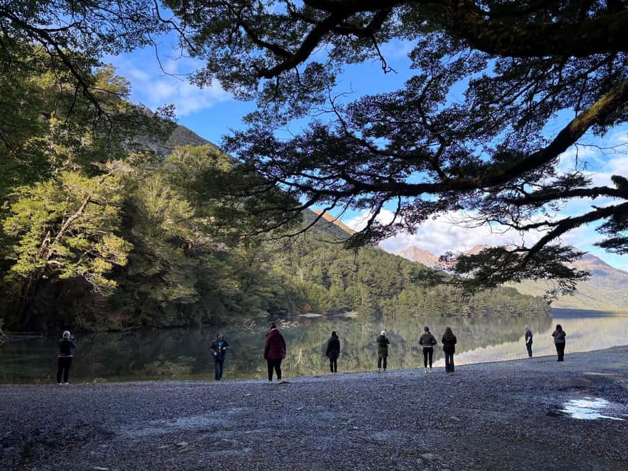 Queenstown: Milford Sound Small-Group Tour w Cruise & Lunch - Lake Gunn, Hollyford River, and the search for kea