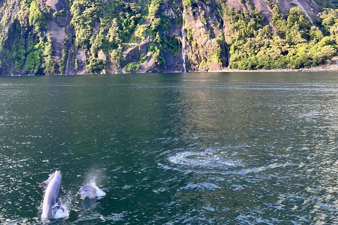 Queenstown to Te Anau via Milford Sound inc Cruise & Lunch - Mirror Lakes rewards a short walk