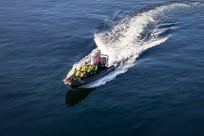 Rib adventure in the Lysefjord with boat house visit - Wildlife sightings are a bonus, not a guarantee