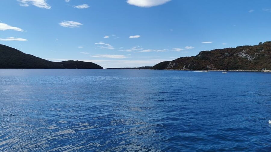 Rovinj: Lim Fjord and Pirate Cave Boat Tour - What the Recent Feedback Tells You