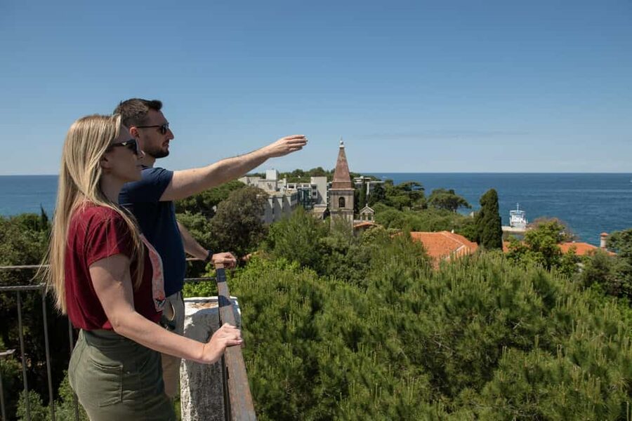 Rovinj or Vrsar: Rovinj Islands and Lim Fjord Speedboat Tour - What Is Included and What You Need to Pay For