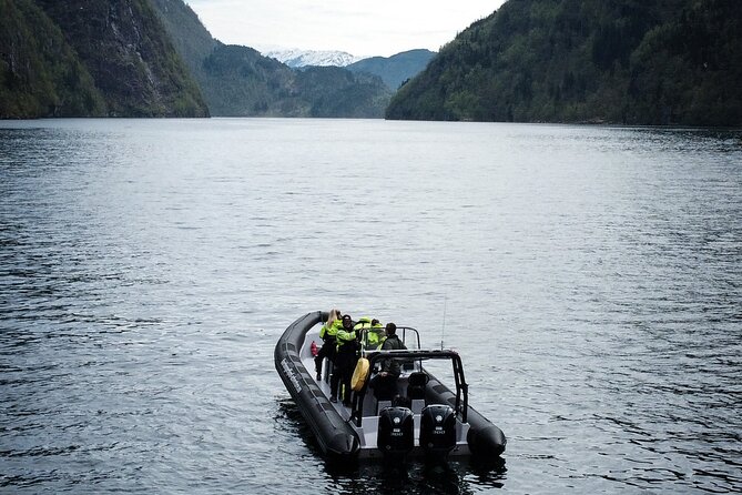 Scenic RIB adventure to Hardangerfjord & Fyksesund from Øystese - Herandsholmen in the middle of Hardangerfjord
