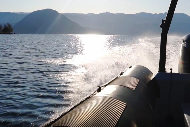 Scenic RIB adventure to Hardangerfjord & Fyksesund from Øystese - Is the $110.29 price good value?