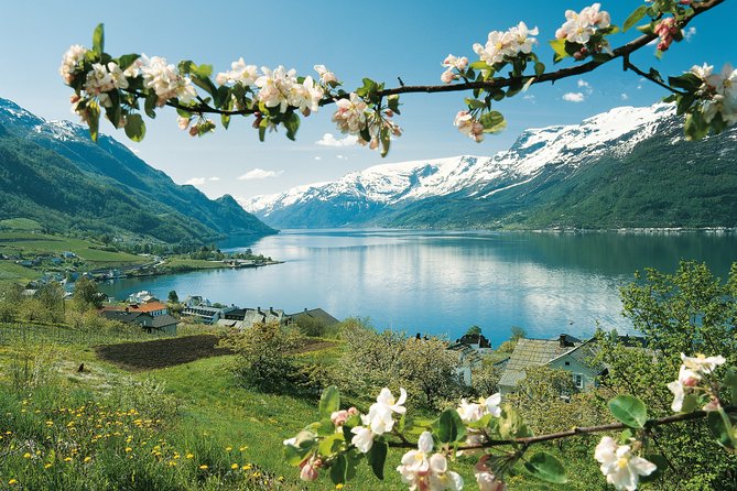 Self-Guided 22-Hour Round Trip From Oslo To Sognefjord With Flåm Railway - Gudvangen to Voss by bus
