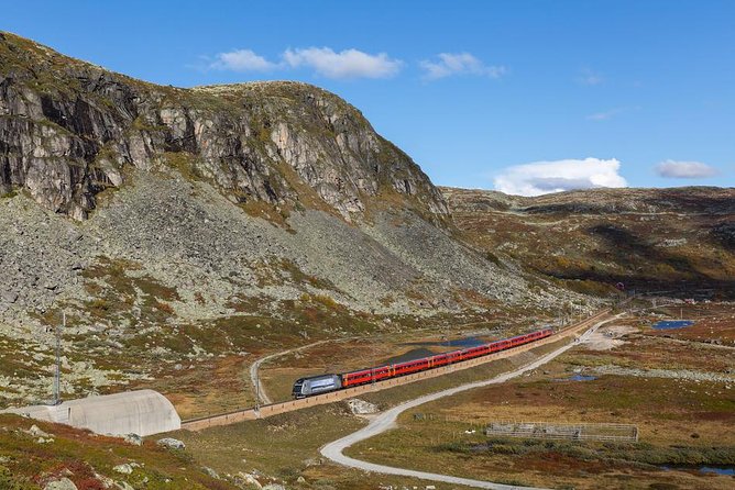 Self-Guided 22-Hour Round Trip From Oslo To Sognefjord With Flåm Railway - Voss and the evening in Bergen