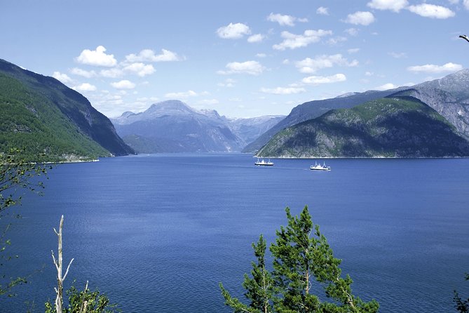 Self-Guided 22-Hour Round Trip From Oslo To Sognefjord With Flåm Railway - Should you pay extra for the sleeping compartment?