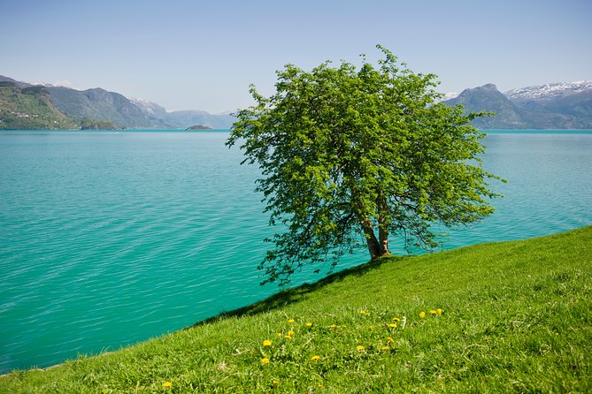 Self-Guided 22-Hour Round Trip From Oslo To Sognefjord With Flåm Railway - Who will enjoy this route most?