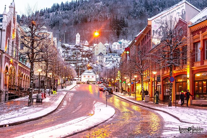 Self-guided day tour From Bergen to Flam All Inclusive roundtrip - Stegastein Lookout above Aurlandsfjord