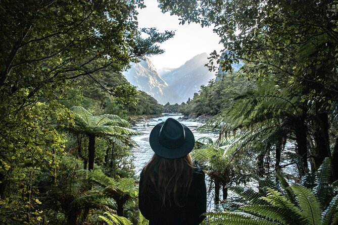 Self-Guided Milford Track Day Walk - Milford Sound - What $46.54 Buys You