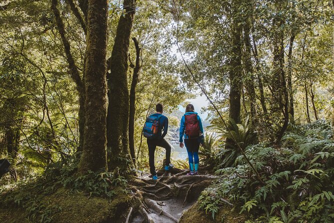 Self-Guided Milford Track Day Walk - Milford Sound - Who Will Enjoy This Best