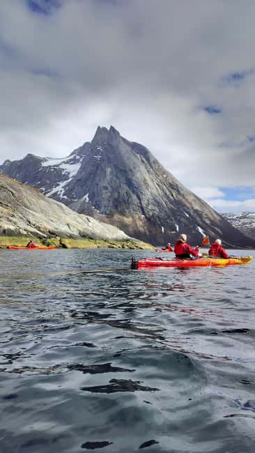 Senja: Guidet Fjord Kayaking in Ånderdalen Nationalpark - Key points at a glance