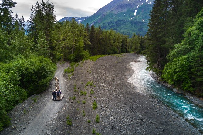 Seward and Kenai Fjords National Park Guided Tour with Lunch - Seavey’s IdidaRide: the tour’s main attraction
