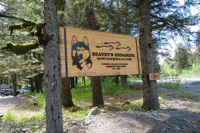 Seward and Kenai Fjords National Park Guided Tour with Lunch - Who should book this six-hour experience?