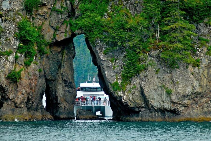 Seward: Captain's Choice Kenai Fjords National Park Tour - Searching for whales, otters, and sea lions