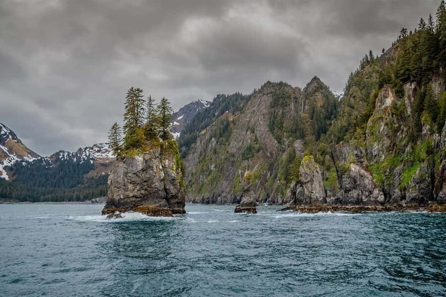 Seward: Captain's Choice Kenai Fjords National Park Tour - Aialik Bay, Holgate Glacier, and the sound of calving ice