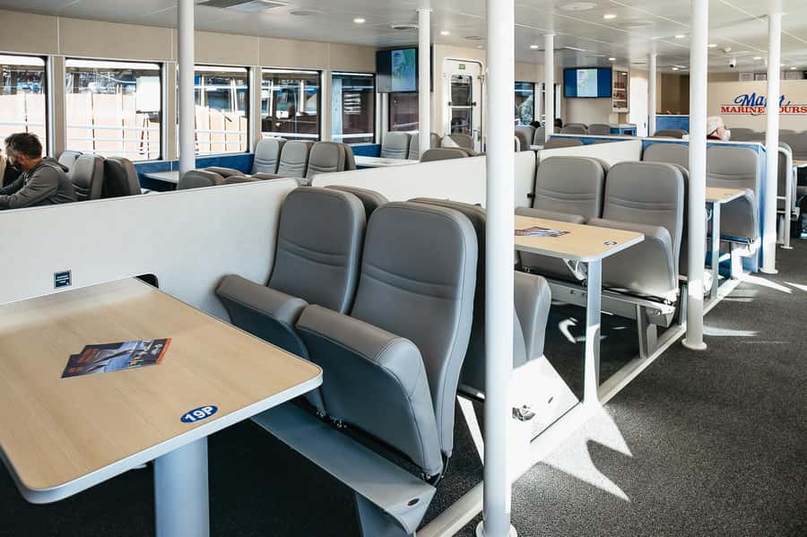 Seward: Kenai Fjords National Park Catamaran Cruise w/Lunch - The captain and crew make a real difference