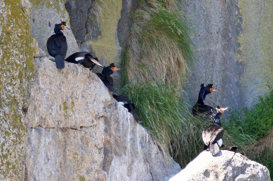 Seward: Kenai Fjords National Park Extended Cruise - What the small vessel means for you