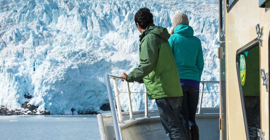 Seward: Kenai Fjords National Park Extended Cruise - Starting at 1412 4th Avenue in Seward