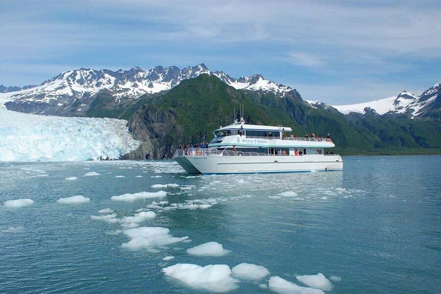 Seward: Kenai Fjords National Park Glacier & Wildlife Cruise - Booking details that can save you trouble