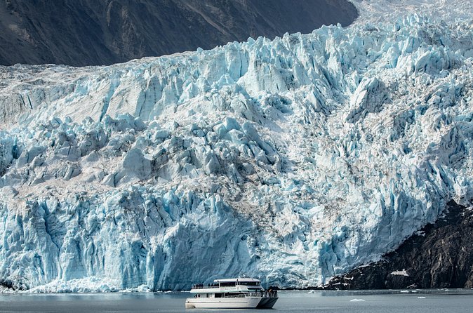 Seward Shore Excursion: Pre- or Post-Cruise Kenai Fjords National Park Tour - Wildlife: a strong chance, never a promise