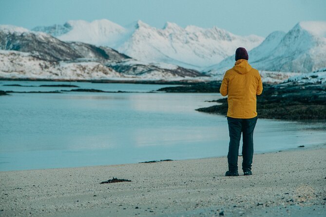 Small Group Arctic Fjords Road trip with Scenic Picnic - Why Kvaløya makes a strong half-day outing