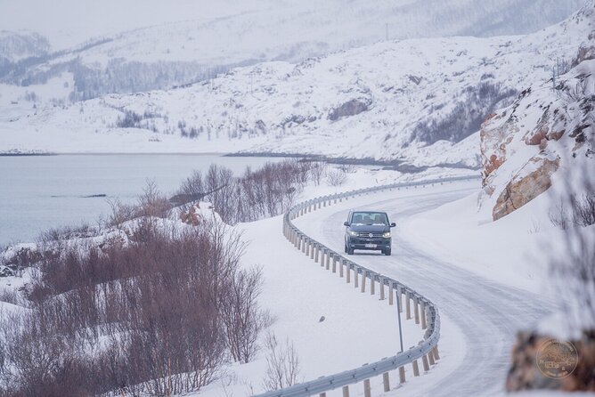 Small Group Arctic Fjords Road trip with Scenic Picnic - Wildlife is a bonus, not the point