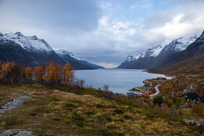 Small Group Arctic Fjords Road trip with Scenic Picnic - Guides, photos, and the quality of the day