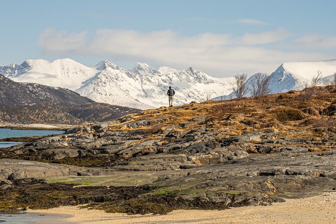 Small Group Arctic Fjords Road trip with Scenic Picnic - Is $161.84 fair for five to six hours?