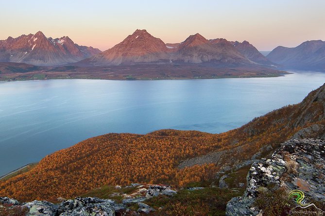 Small-Group Norwegian Fjords Tour from Tromso with Photos - The value of a guide who also takes photographs