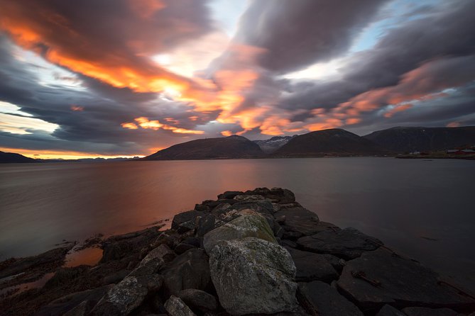 Small-Group Norwegian Fjords Tour from Tromso with Photos - The $114.93 price and what you receive