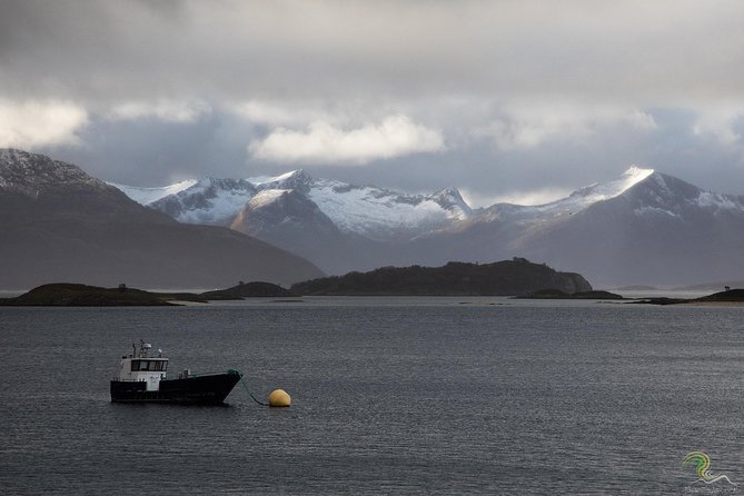 Small-Group Norwegian Fjords Tour from Tromso with Photos - White beaches, troll-like mountains, and open sea