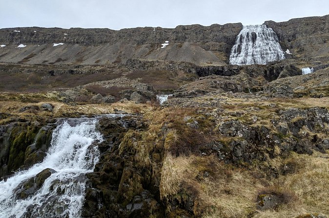 Small Group Tour Ísafjordur Dynjandi Waterfall & Secret Stop - Timing, Walking, and Shore Excursion Practicalities