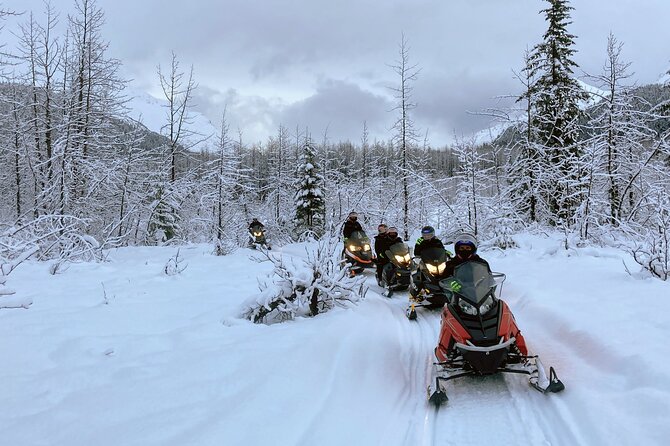 Snowmobile and Snowshoe Dual Adventure in Kenai Fjords NP - Practical tips for a smoother day