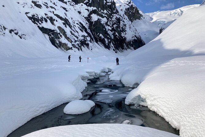 Snowmobile and Snowshoe Dual Adventure in Kenai Fjords NP - Should you book the snowmobile and snowshoe adventure?
