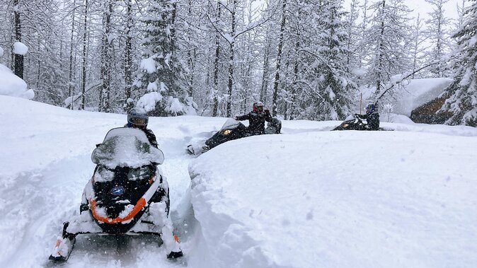 Snowmobile Classic Tour in Kenai Fjords National Park - Timing, weather, and cancellation rules