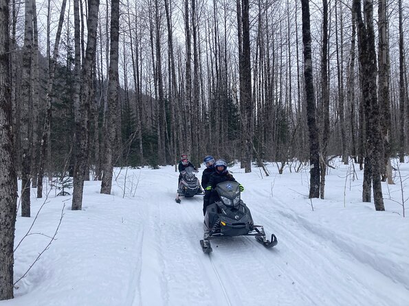 Snowmobile Classic Tour in Kenai Fjords National Park - Stop 1: The winter interior of Kenai Fjords National Park