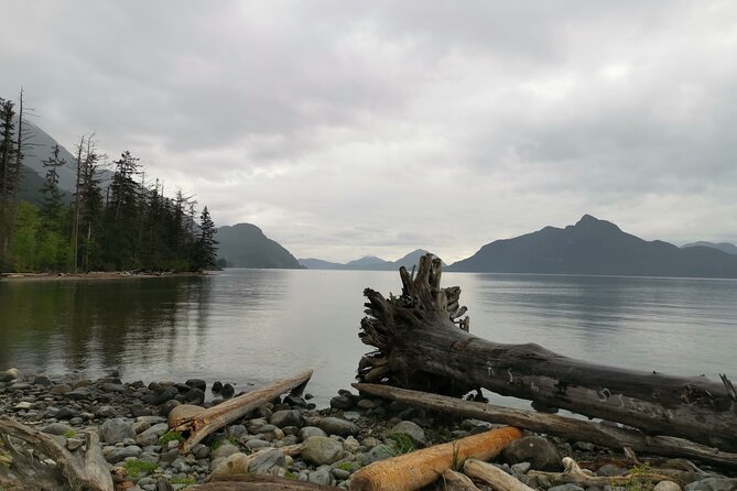 Squamish Howe Sound Explorer Private Tour - Capilano Suspension Bridge Park brings the thrills