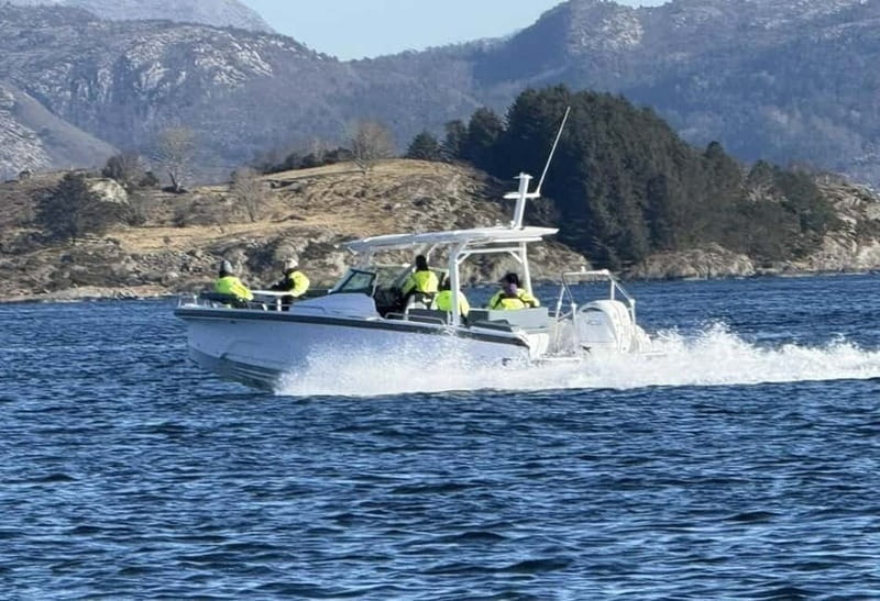 Stavanger: Guided Lysefjord Cruise to Pulpit Rock - Timing, port visits, and the $156 price